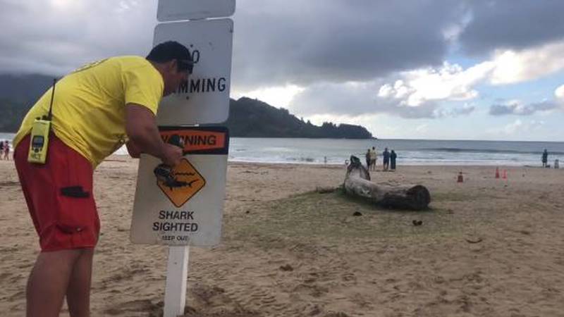 Kauai’s Hanalei Bay remains closed to swimming and other ocean activities until further notice...