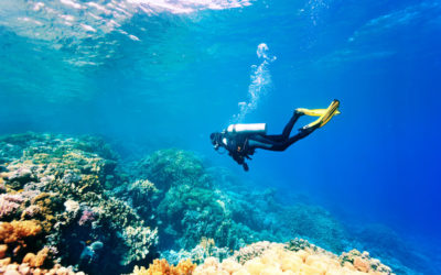 Discover an Underwater World Scuba Diving in Kauai