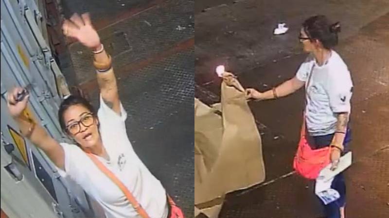Female Arson Suspect Wanted